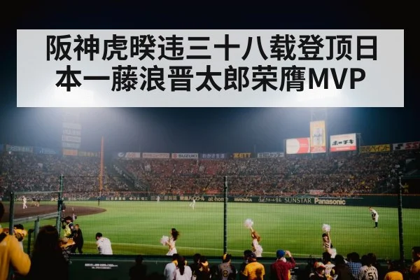 baseball stadium night game
